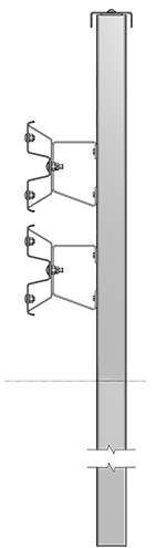 BSL-1,3/D/BL